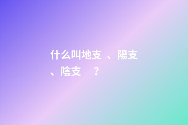 什么叫地支、陽支、陰支？